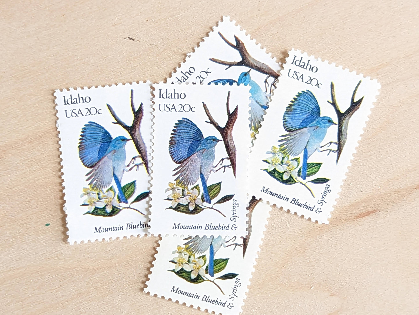 Idaho State Stamp, Set of 5, Vintage Unused USPS 20 Cent Postage Stamps, State Bird and Flower, 1982, Gummed