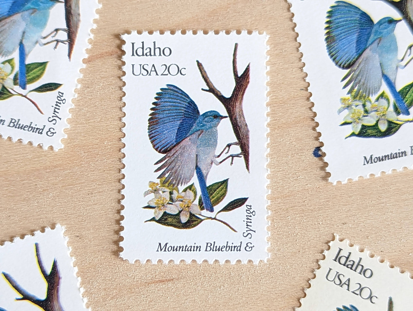 Idaho State Stamp, Set of 5, Vintage Unused USPS 20 Cent Postage Stamps, State Bird and Flower, 1982, Gummed