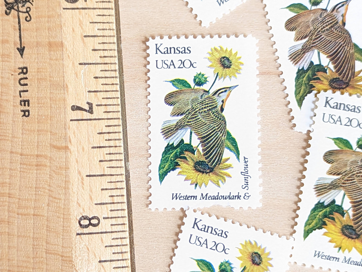 Kansas State Stamp, Set of 5, Vintage Unused USPS 20 Cent Postage Stamps, State Bird and Flower, 1982, Gummed