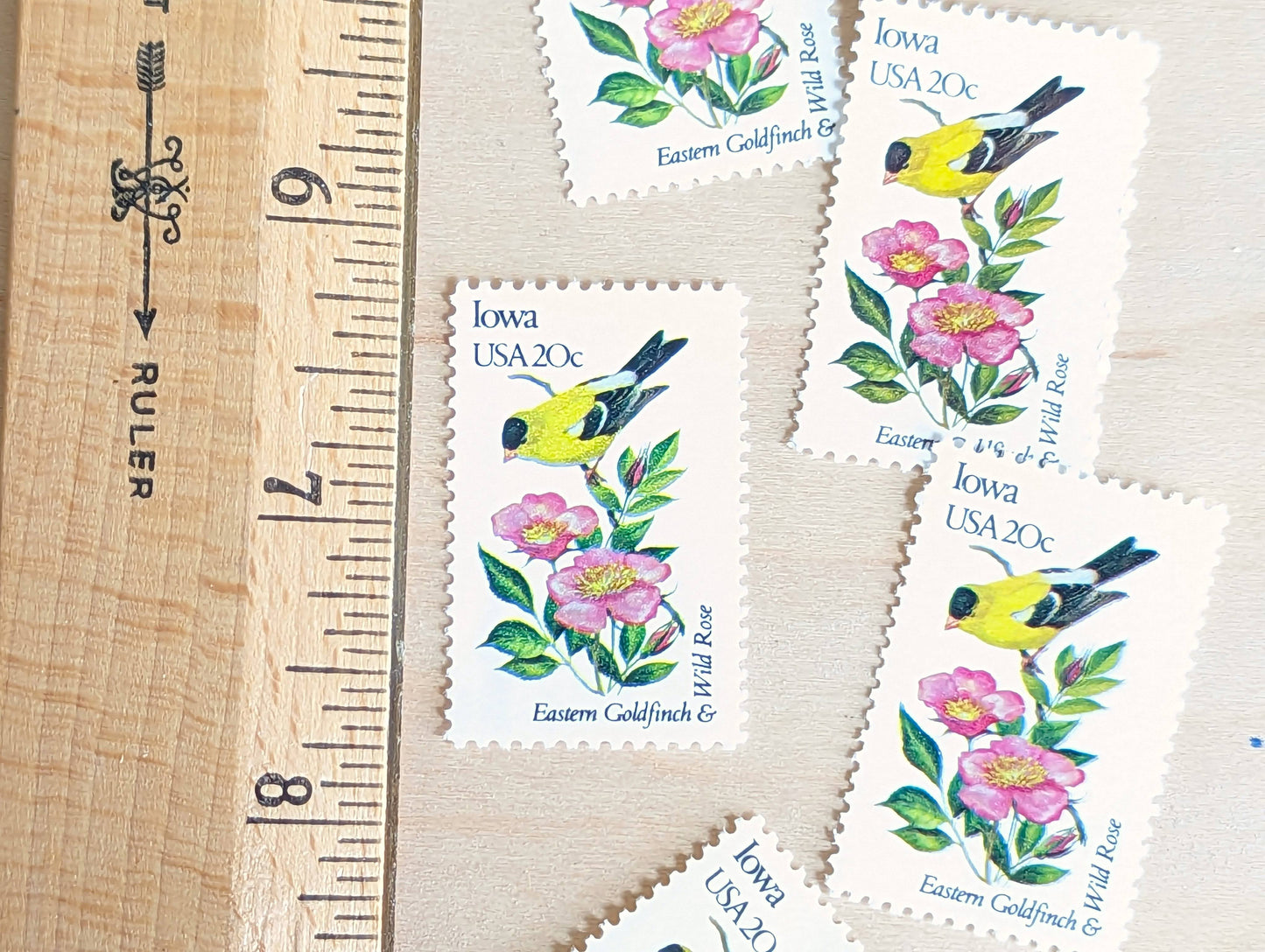 Iowa State Stamp, Set of 5, Vintage Unused USPS 20 Cent Postage Stamps, State Bird and Flower, 1982, Gummed