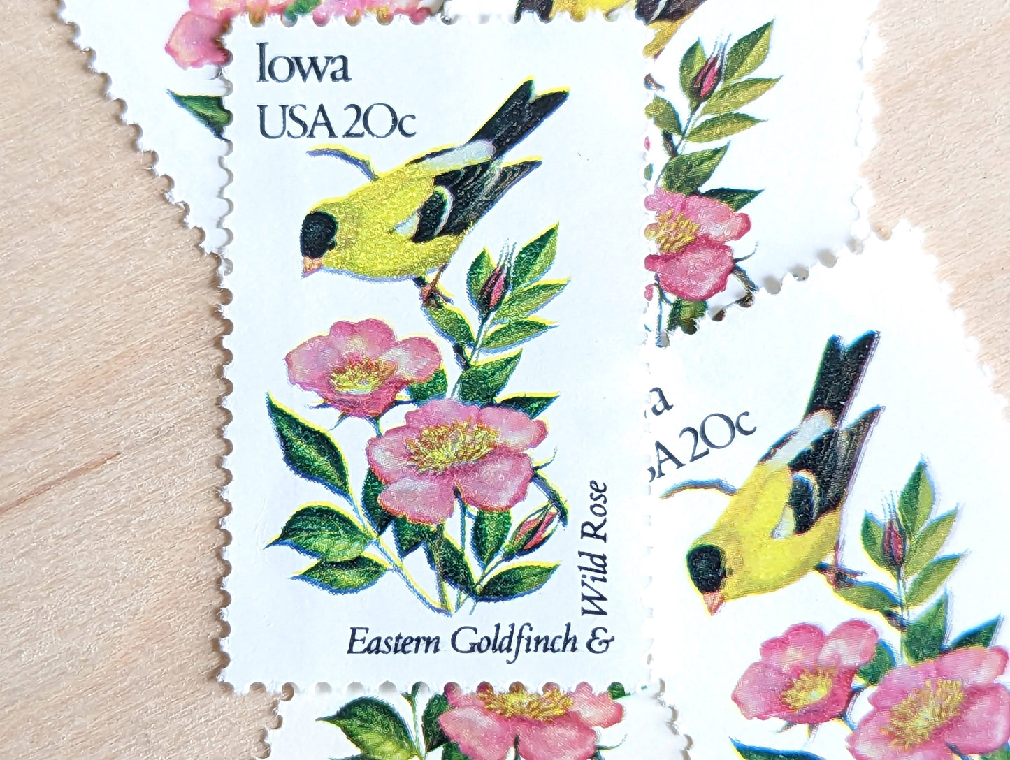 Iowa State Stamp, Set of 5, Vintage Unused USPS 20 Cent Postage Stamps, State Bird and Flower, 1982, Gummed