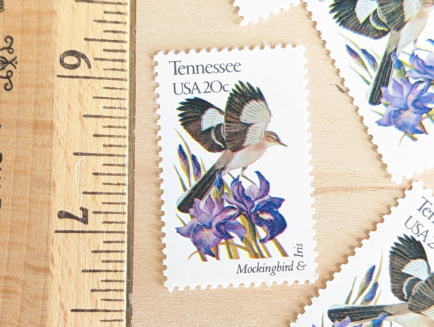 Tennessee State Stamp, Set of 5, Vintage Unused USPS 20 Cent Postage Stamps, State Bird and Flower, 1982, Gummed