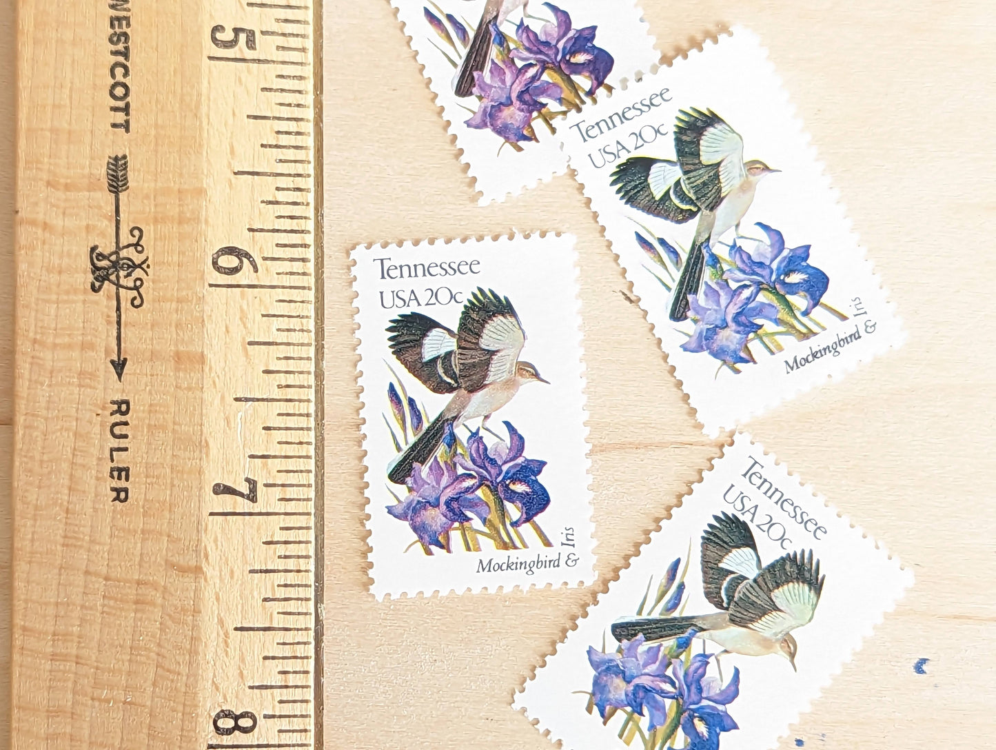 Tennessee State Stamp, Set of 5, Vintage Unused USPS 20 Cent Postage Stamps, State Bird and Flower, 1982, Gummed