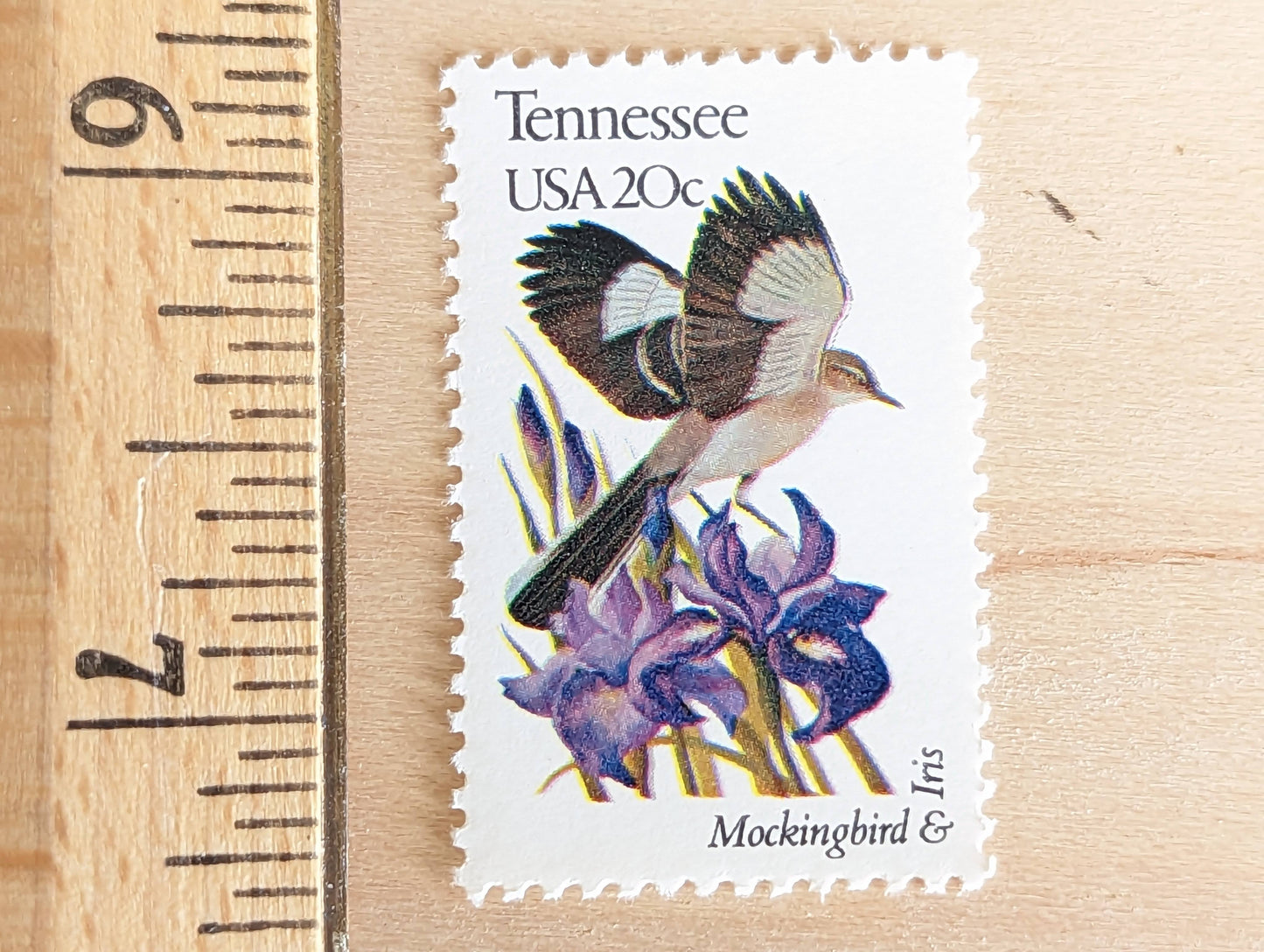 Tennessee State Stamp, Set of 5, Vintage Unused USPS 20 Cent Postage Stamps, State Bird and Flower, 1982, Gummed