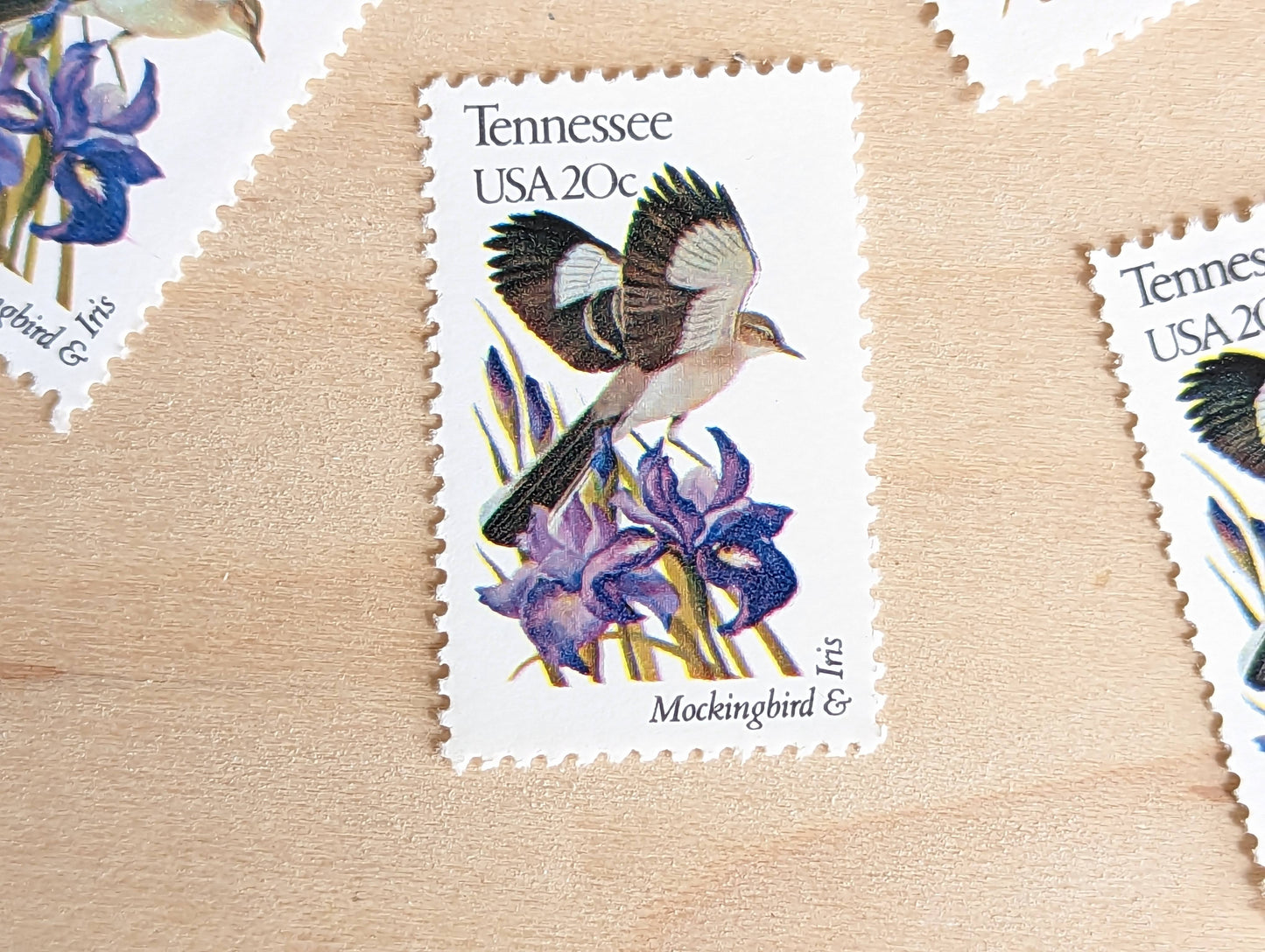 Tennessee State Stamp, Set of 5, Vintage Unused USPS 20 Cent Postage Stamps, State Bird and Flower, 1982, Gummed