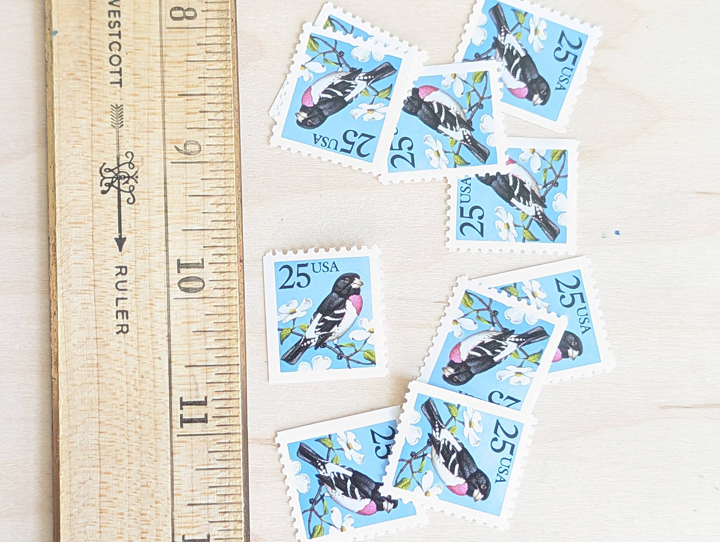 Grosbeak Stamps, Set of 10, Vintage Unused USPS 25 Cent Postage Stamps, Bird Stamps Flowering Tree, Spring 1988, Gummed