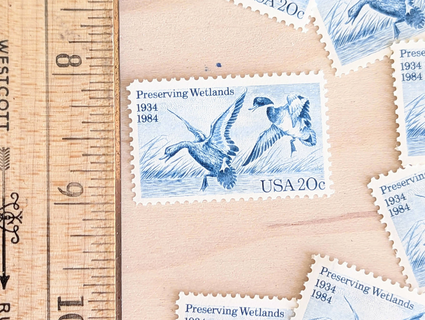 Preserving Wetlands, Vintage Unused USPS 20 Cent Postage Stamps, Preserving Wetlands Stamps, 1984, Gummed