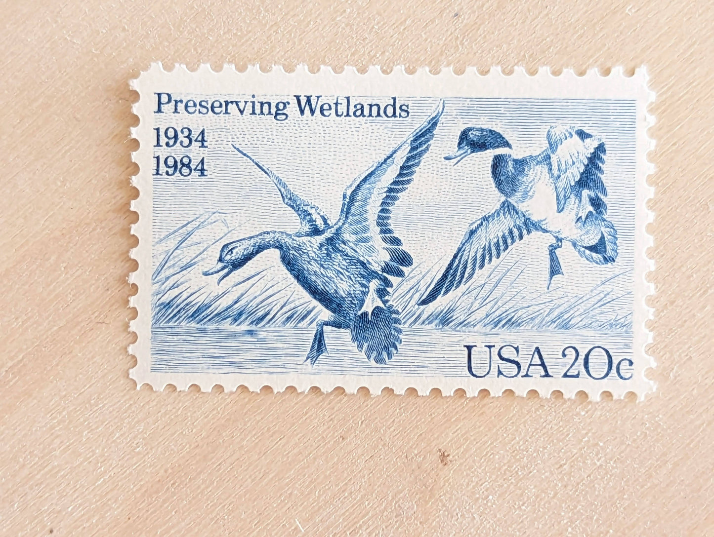 Preserving Wetlands, Vintage Unused USPS 20 Cent Postage Stamps, Preserving Wetlands Stamps, 1984, Gummed
