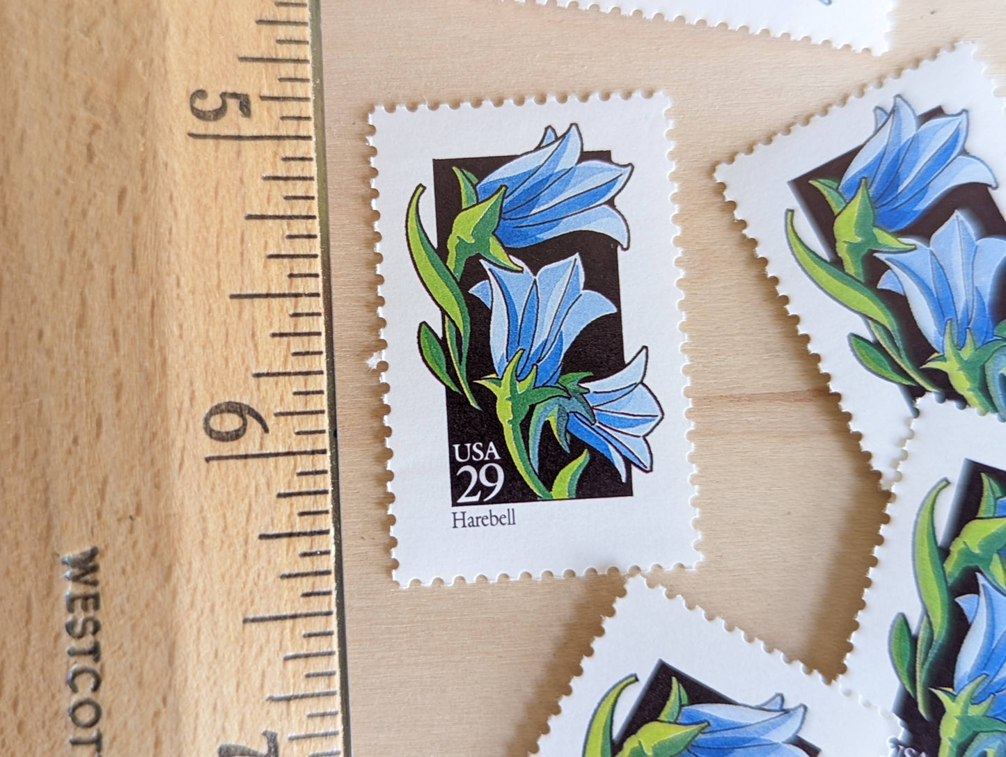 Set of 5 Harebell Wildflower Stamps, 29 cent stamps, 1992 Unused USPS Postage Stamps