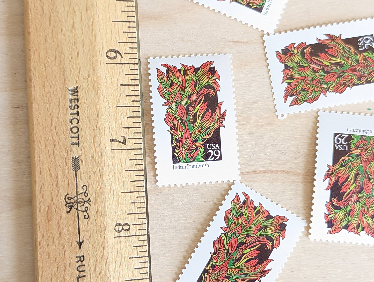 Indian Paintbrush Stamps, Set of 5, Vintage Unused USPS 29 Cent Postage Stamps, Wildflower Stamps 1992, Gummed