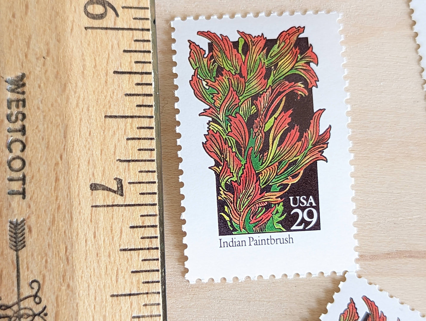 Indian Paintbrush Stamps, Set of 5, Vintage Unused USPS 29 Cent Postage Stamps, Wildflower Stamps 1992, Gummed