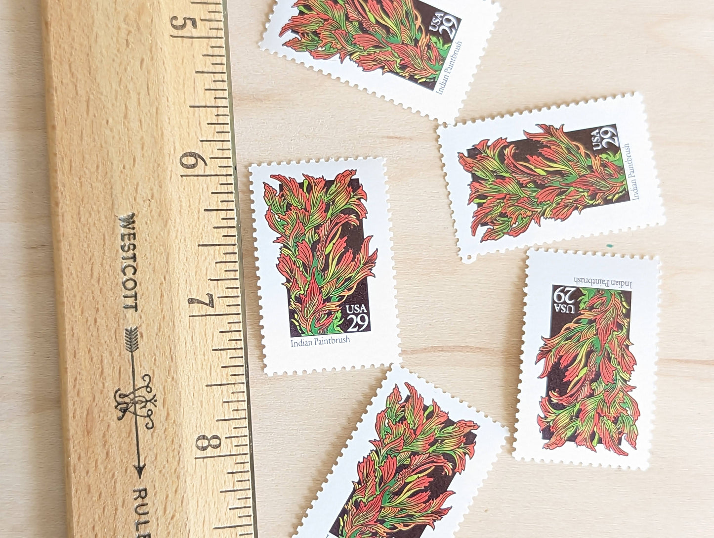 Indian Paintbrush Stamps, Set of 5, Vintage Unused USPS 29 Cent Postage Stamps, Wildflower Stamps 1992, Gummed