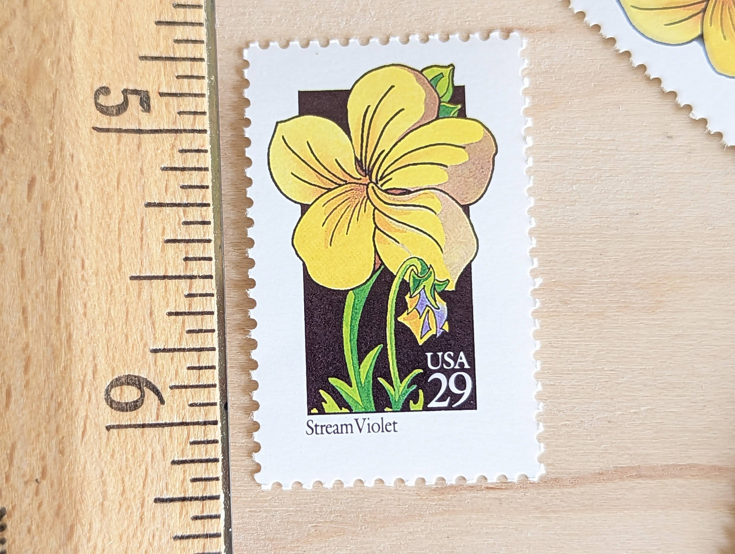Set of 5 Stream Violet Wildflower Stamps, 29 cent stamps, 1992 Unused USPS Postage Stamp
