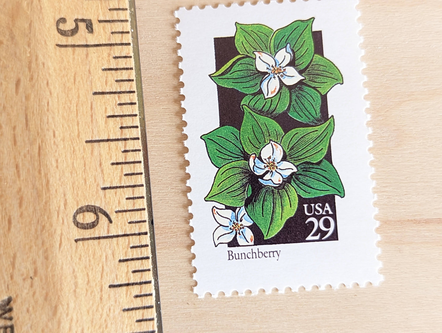 Set of 5 Bunchberry Wildflower Stamps, 29 cent stamps, 1992 Unused USPS Postage Stamps