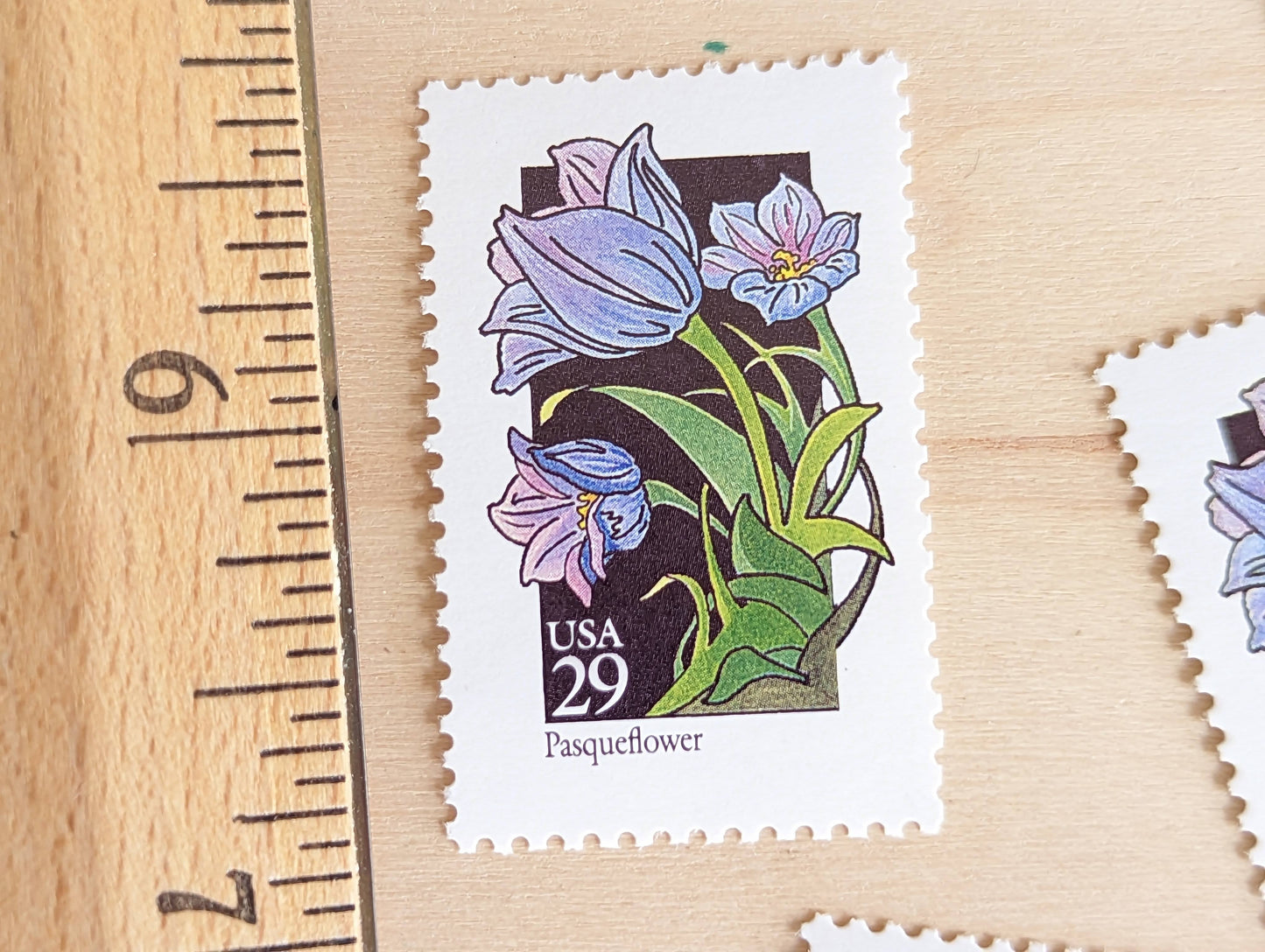 Pasqueflower Wildflower Stamps, Set of 5, Vintage Unused USPS 29 Cent Postage Stamps, Wildflowers 1992, Gummed