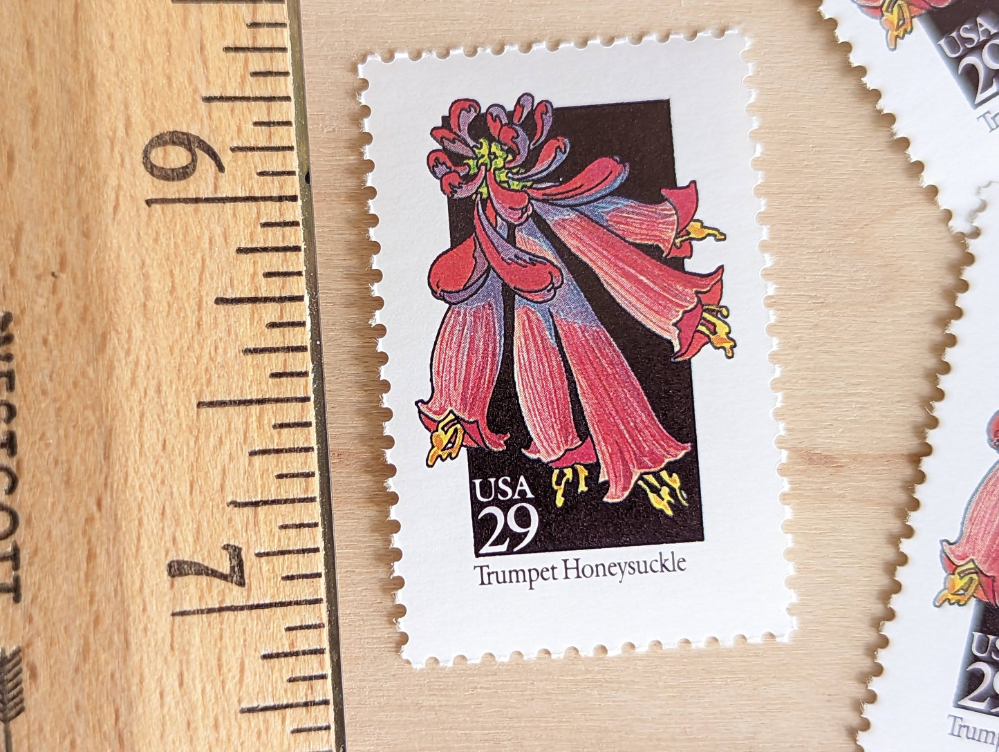 Trumpet Honeysuckle Wildflower Stamps, Set of 5, Vintage Unused USPS 29 Cent Postage Stamps, Wildflowers 1992, Gummed
