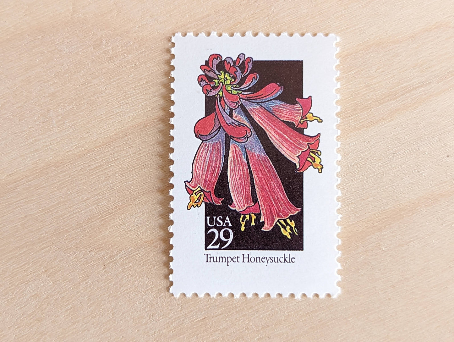 Trumpet Honeysuckle Wildflower Stamps, Set of 5, Vintage Unused USPS 29 Cent Postage Stamps, Wildflowers 1992, Gummed