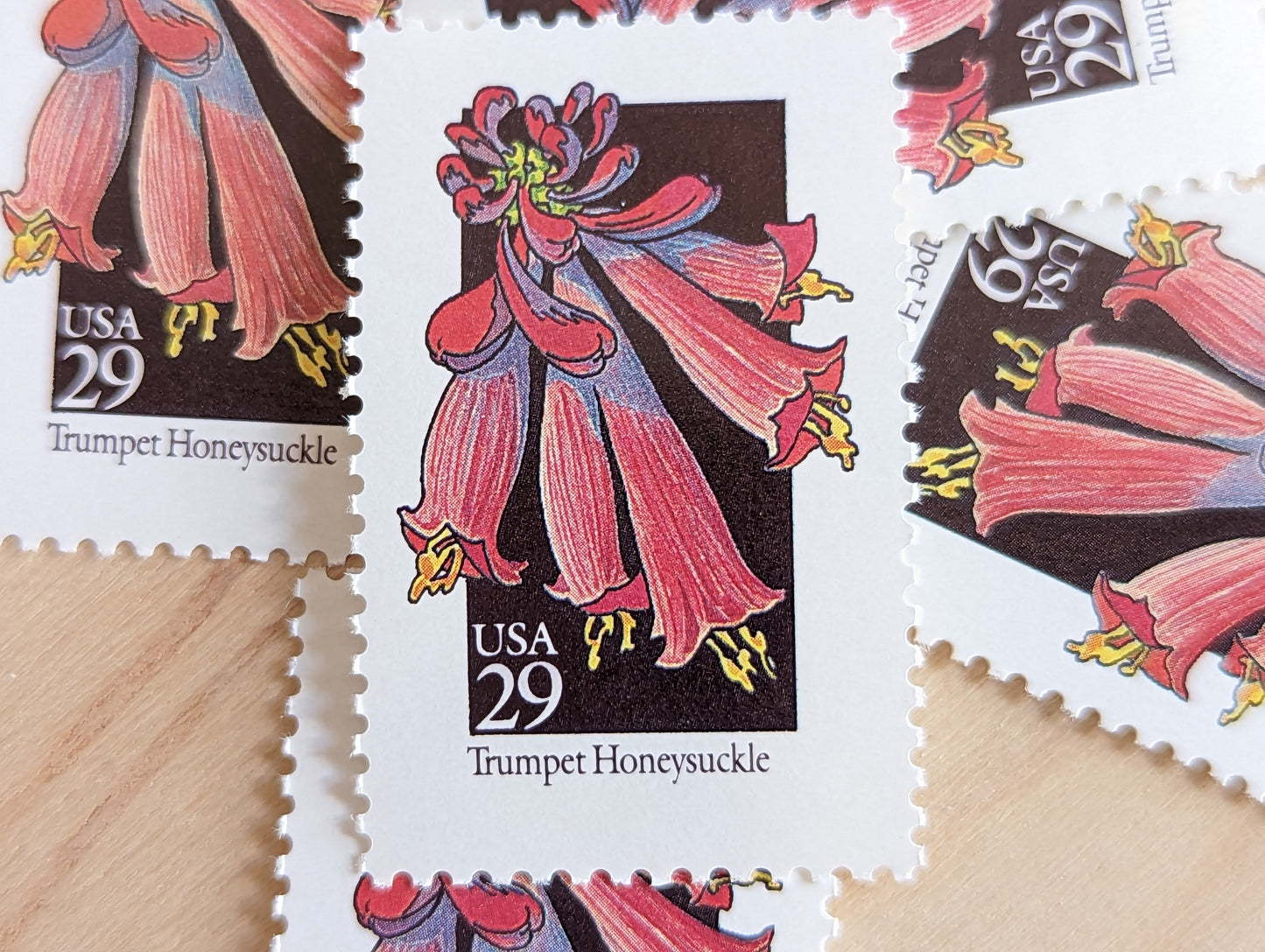 Trumpet Honeysuckle Wildflower Stamps, Set of 5, Vintage Unused USPS 29 Cent Postage Stamps, Wildflowers 1992, Gummed