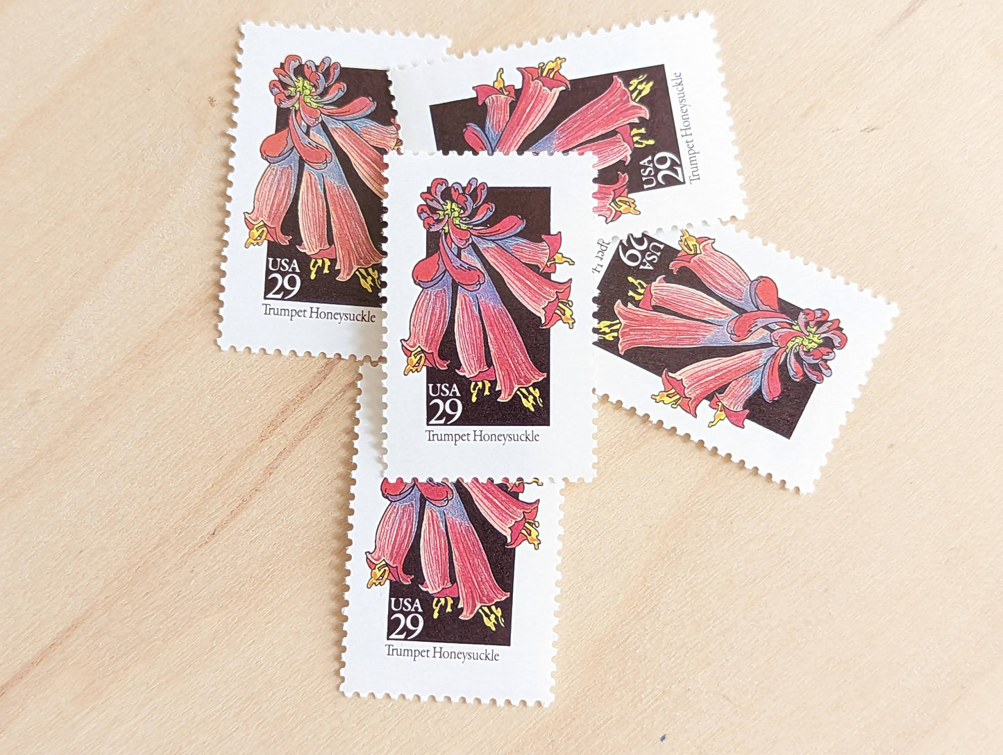 Trumpet Honeysuckle Wildflower Stamps, Set of 5, Vintage Unused USPS 29 Cent Postage Stamps, Wildflowers 1992, Gummed