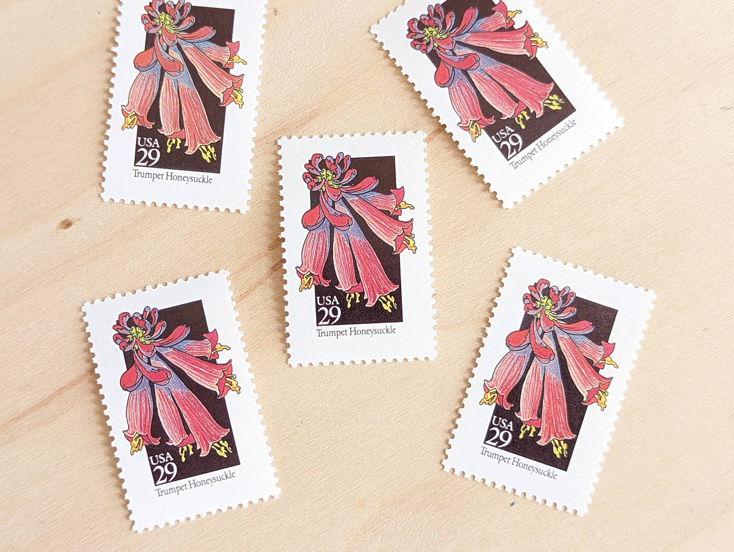Trumpet Honeysuckle Wildflower Stamps, Set of 5, Vintage Unused USPS 29 Cent Postage Stamps, Wildflowers 1992, Gummed
