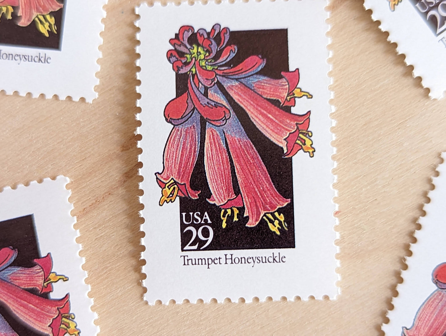 Trumpet Honeysuckle Wildflower Stamps, Set of 5, Vintage Unused USPS 29 Cent Postage Stamps, Wildflowers 1992, Gummed