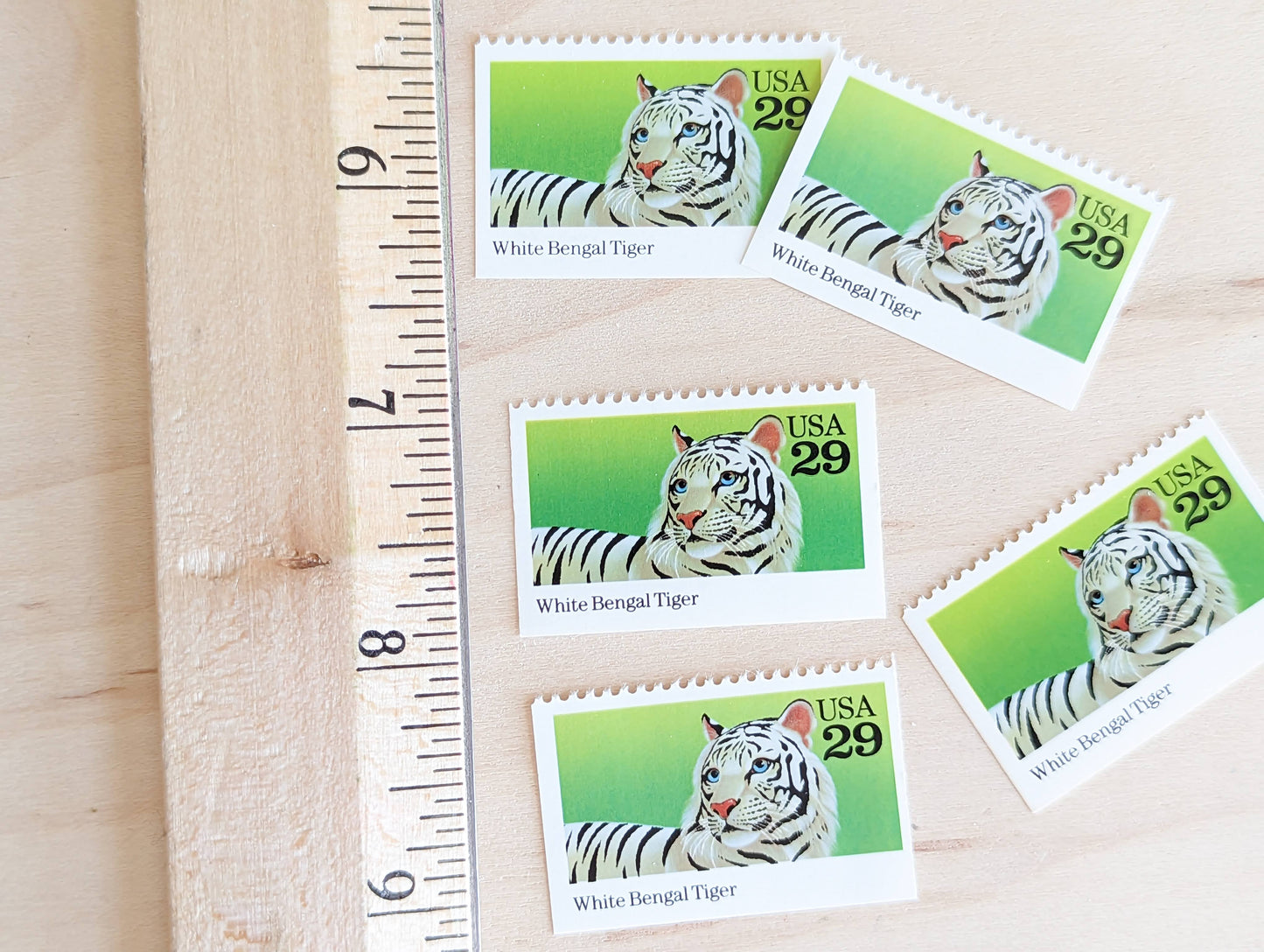 White Bengal Tiger Stamps, Set of 5, Vintage Unused USPS 29 Cent Postage Stamps, Wild Animals 1992, Gummed