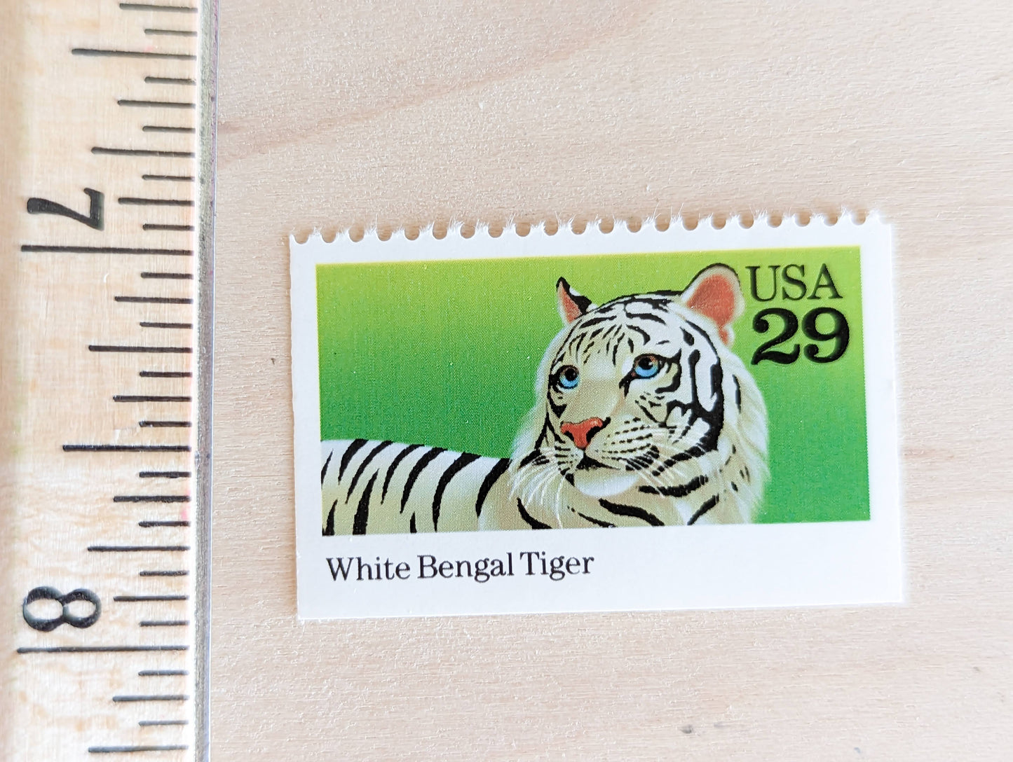 White Bengal Tiger Stamps, Set of 5, Vintage Unused USPS 29 Cent Postage Stamps, Wild Animals 1992, Gummed