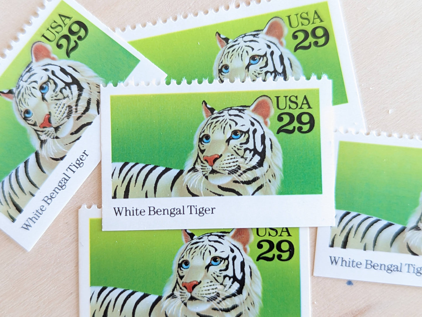 White Bengal Tiger Stamps, Set of 5, Vintage Unused USPS 29 Cent Postage Stamps, Wild Animals 1992, Gummed