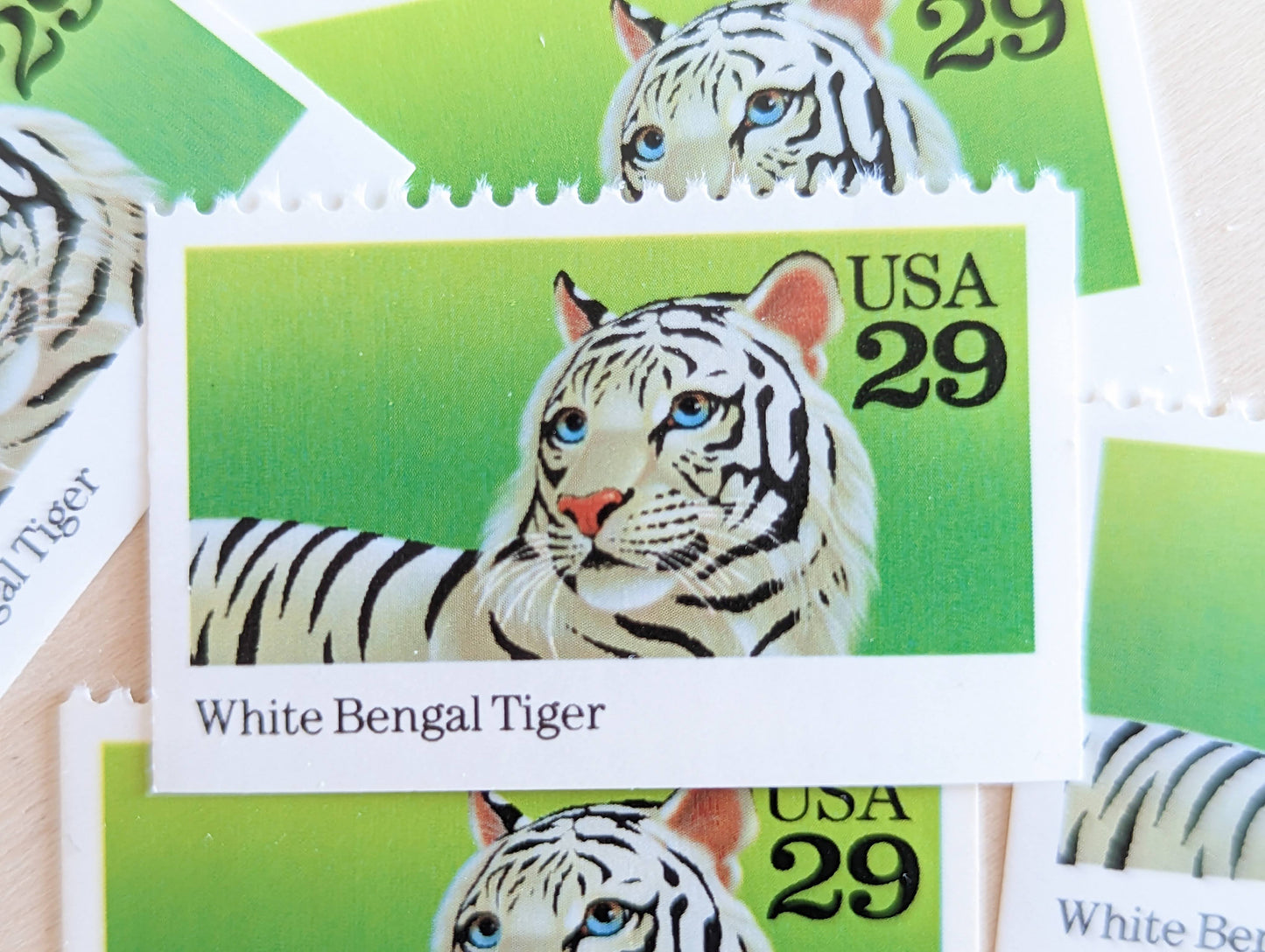 White Bengal Tiger Stamps, Set of 5, Vintage Unused USPS 29 Cent Postage Stamps, Wild Animals 1992, Gummed
