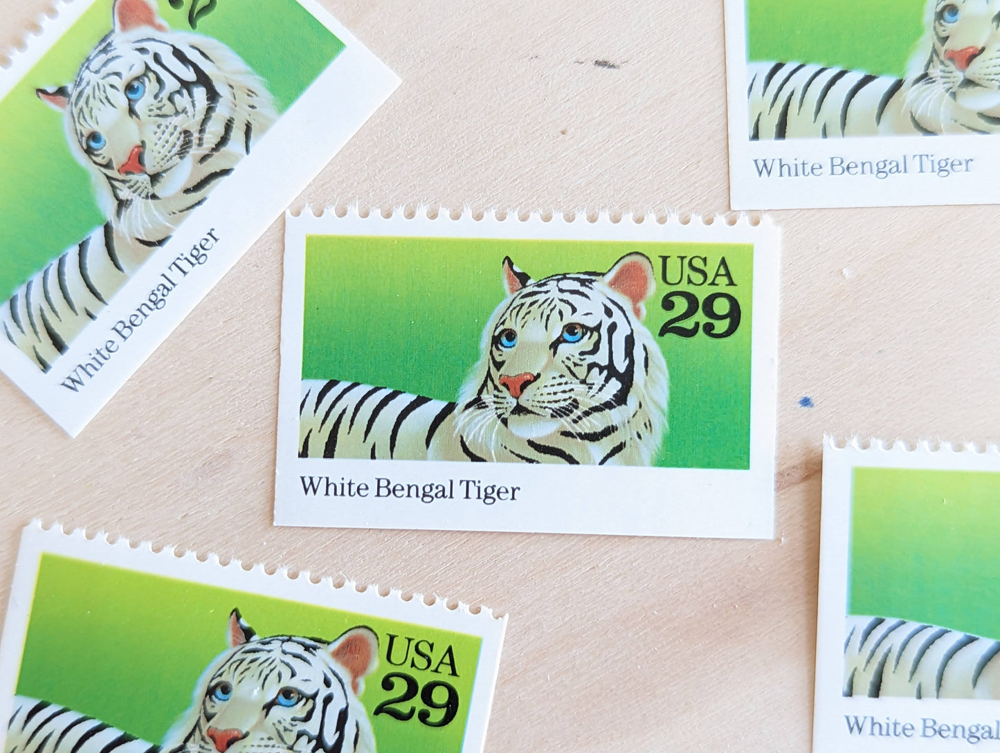 White Bengal Tiger Stamps, Set of 5, Vintage Unused USPS 29 Cent Postage Stamps, Wild Animals 1992, Gummed