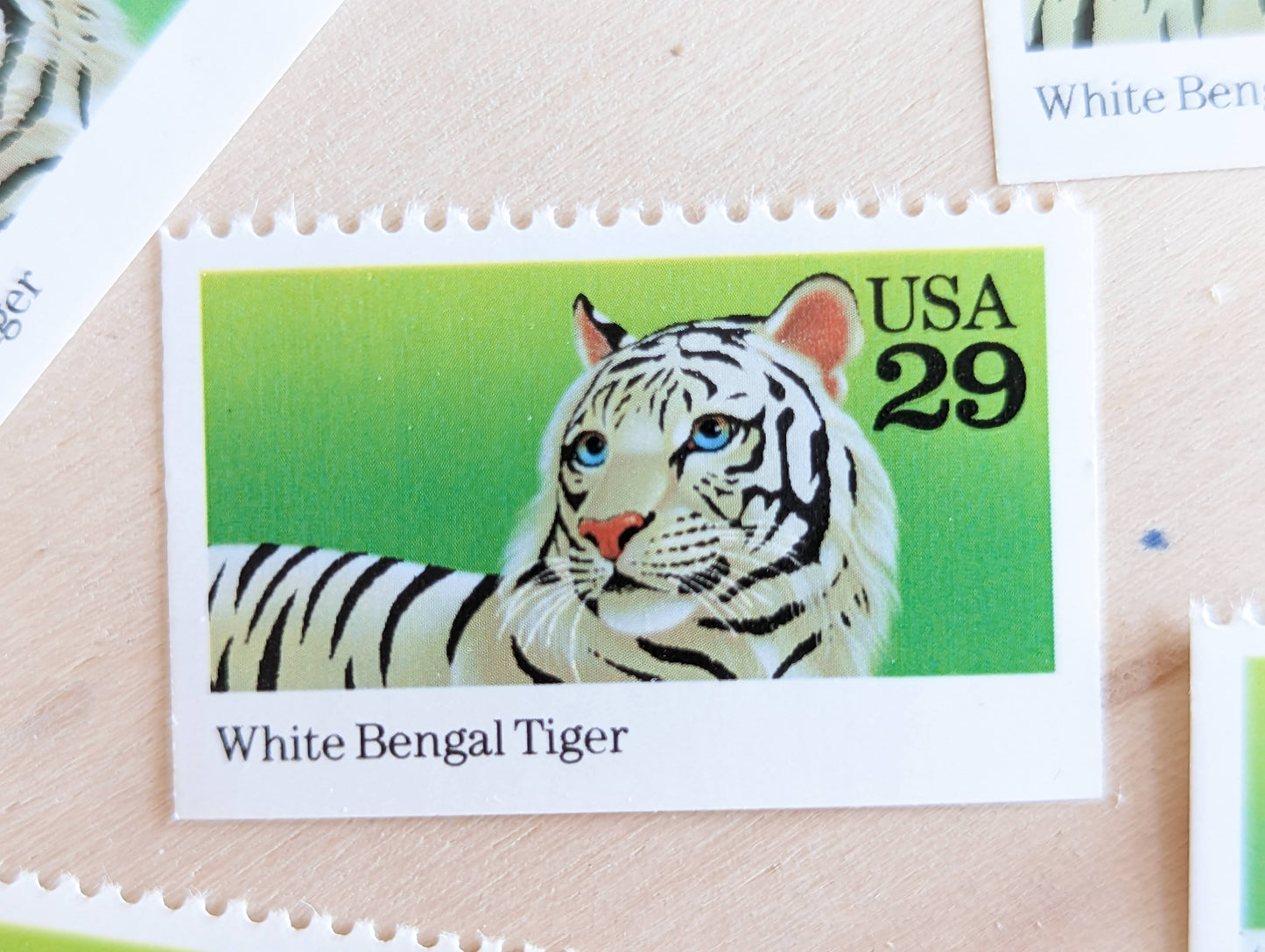 White Bengal Tiger Stamps, Set of 5, Vintage Unused USPS 29 Cent Postage Stamps, Wild Animals 1992, Gummed