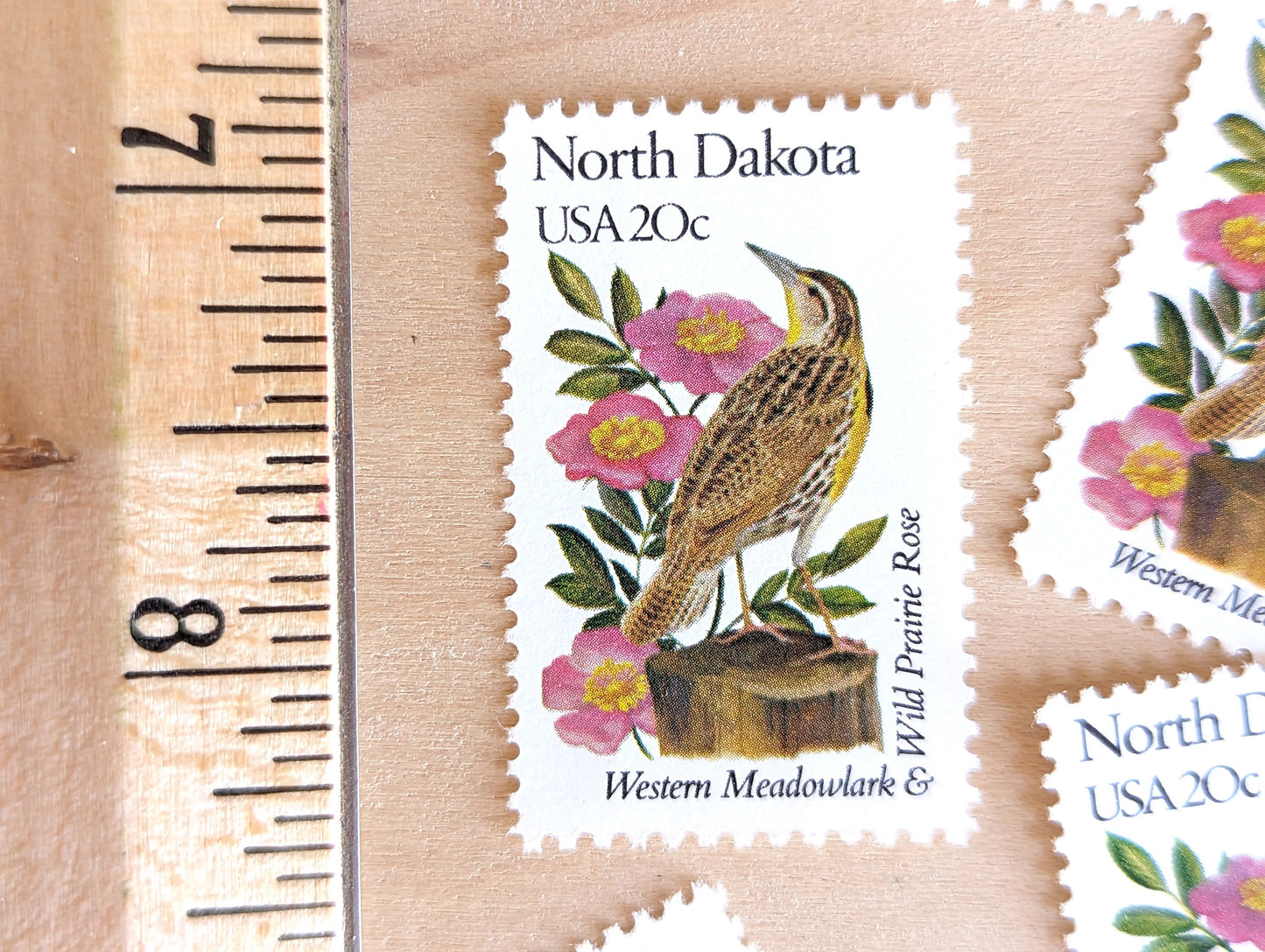 North Dakota State Stamp, Set of 5, Vintage Unused USPS 20 Cent Postage Stamps, State Bird and Flower, 1982, Gummed