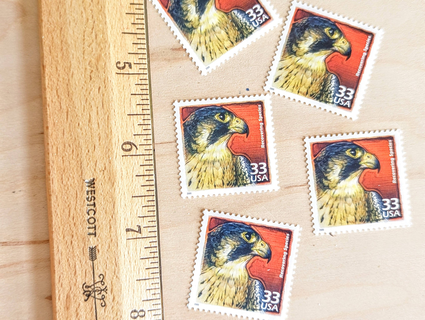 Recovery of Endangered Animals Stamps, Set of 5, Vintage Unused USPS 33 Cent Postage Stamps, 1990s Celebrate the Century Stamps 1998–2000, Gummed