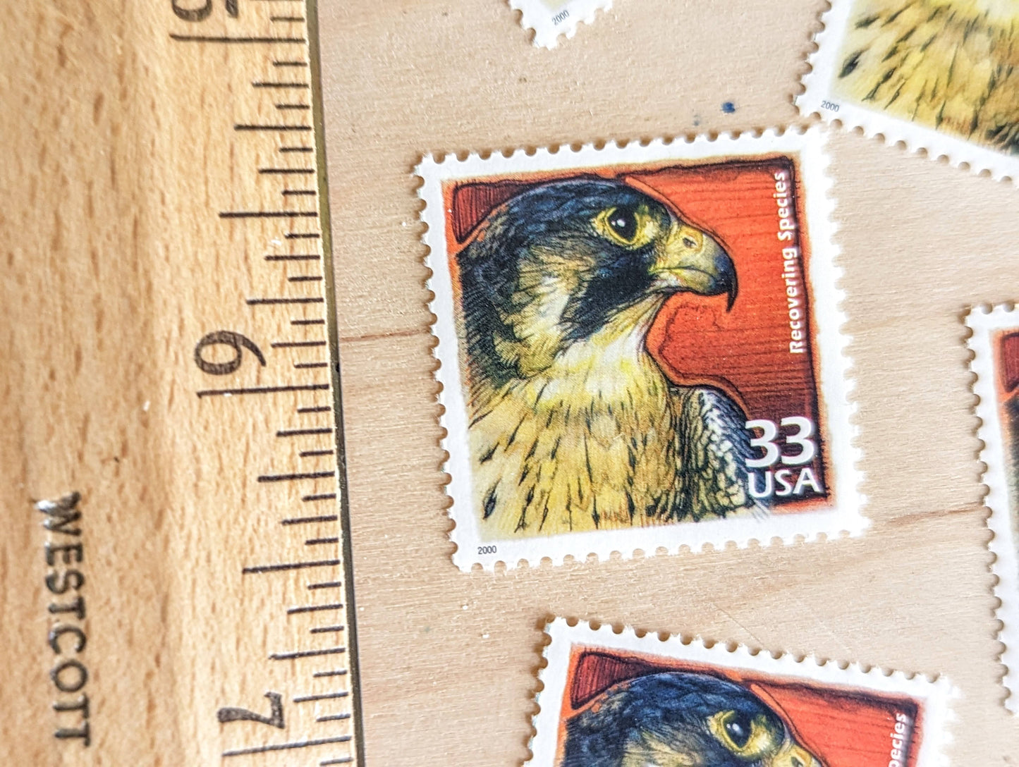 Recovery of Endangered Animals Stamps, Set of 5, Vintage Unused USPS 33 Cent Postage Stamps, 1990s Celebrate the Century Stamps 1998–2000, Gummed