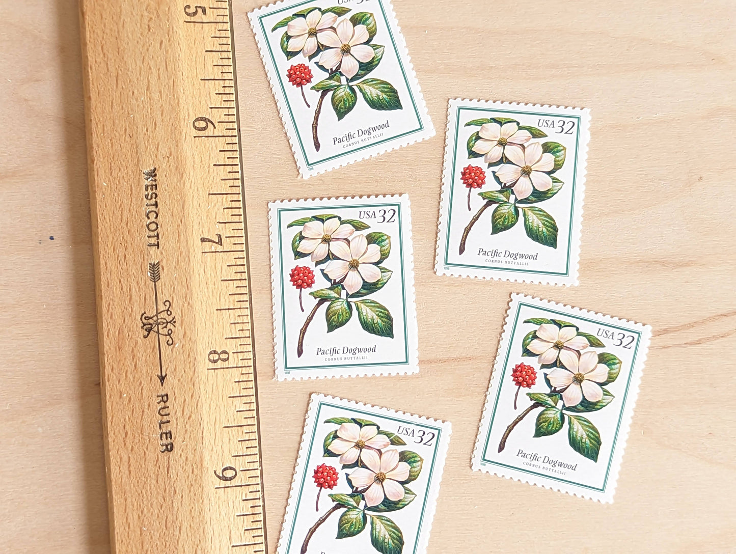 Pacific Dogwood Stamps, Set of 5, Vintage Unused USPS 32 Cent Postage Stamps, Flowering Tree Stamps 1998, Gummed