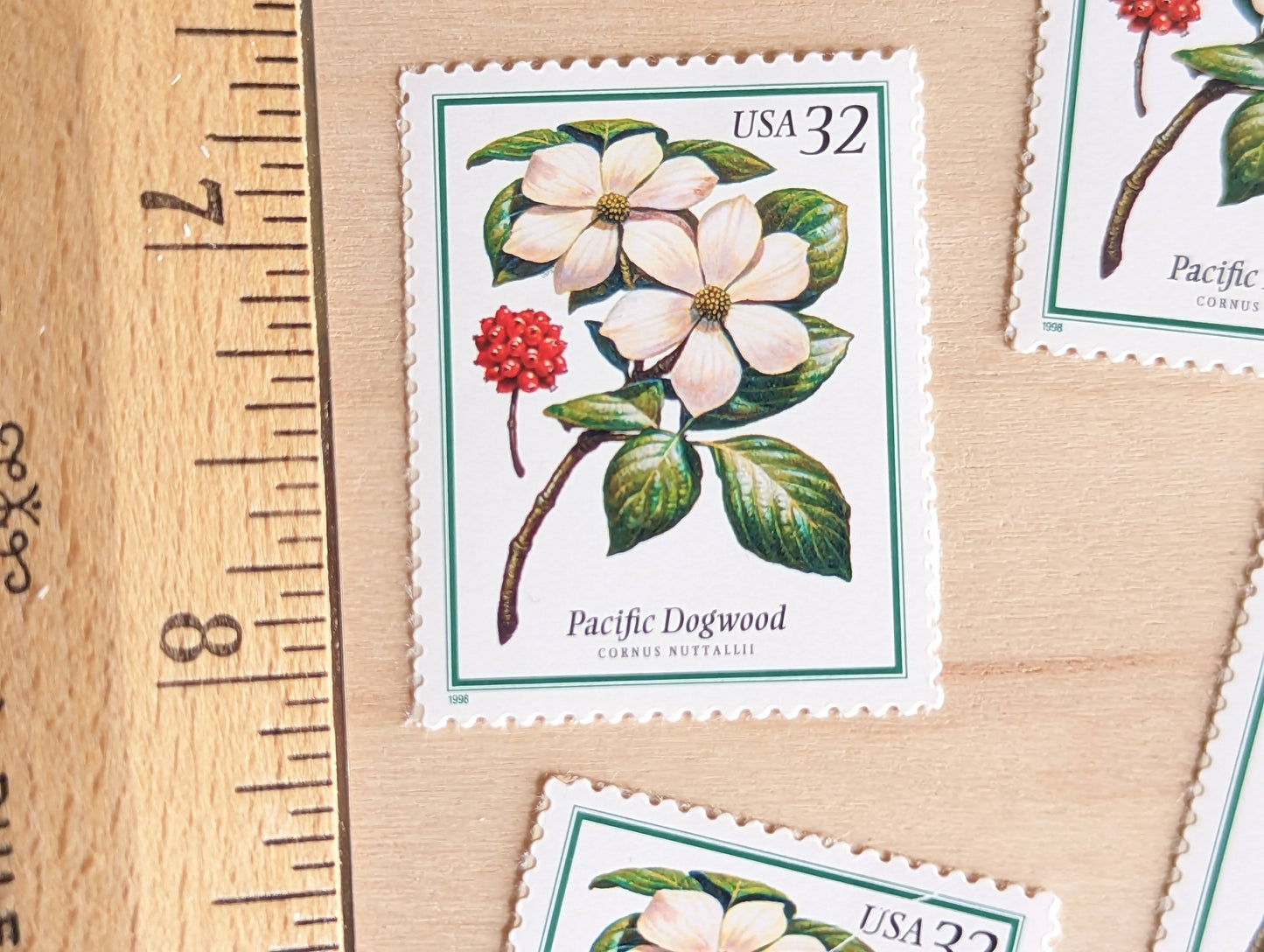 Pacific Dogwood Stamps, Set of 5, Vintage Unused USPS 32 Cent Postage Stamps, Flowering Tree Stamps 1998, Gummed