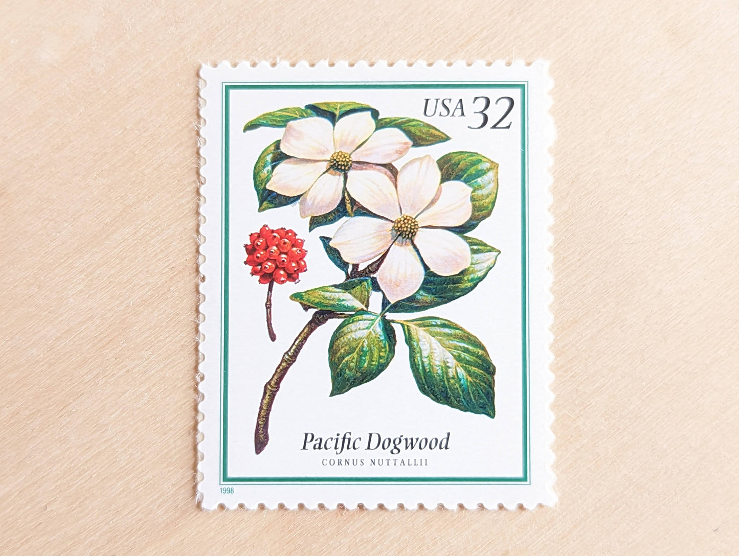 Pacific Dogwood Stamps, Set of 5, Vintage Unused USPS 32 Cent Postage Stamps, Flowering Tree Stamps 1998, Gummed