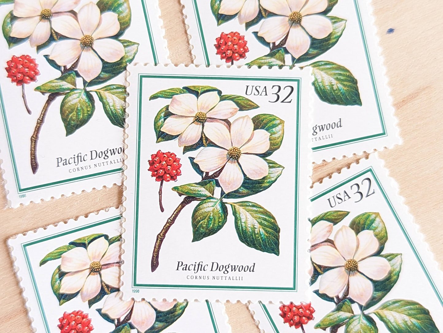 Pacific Dogwood Stamps, Set of 5, Vintage Unused USPS 32 Cent Postage Stamps, Flowering Tree Stamps 1998, Gummed