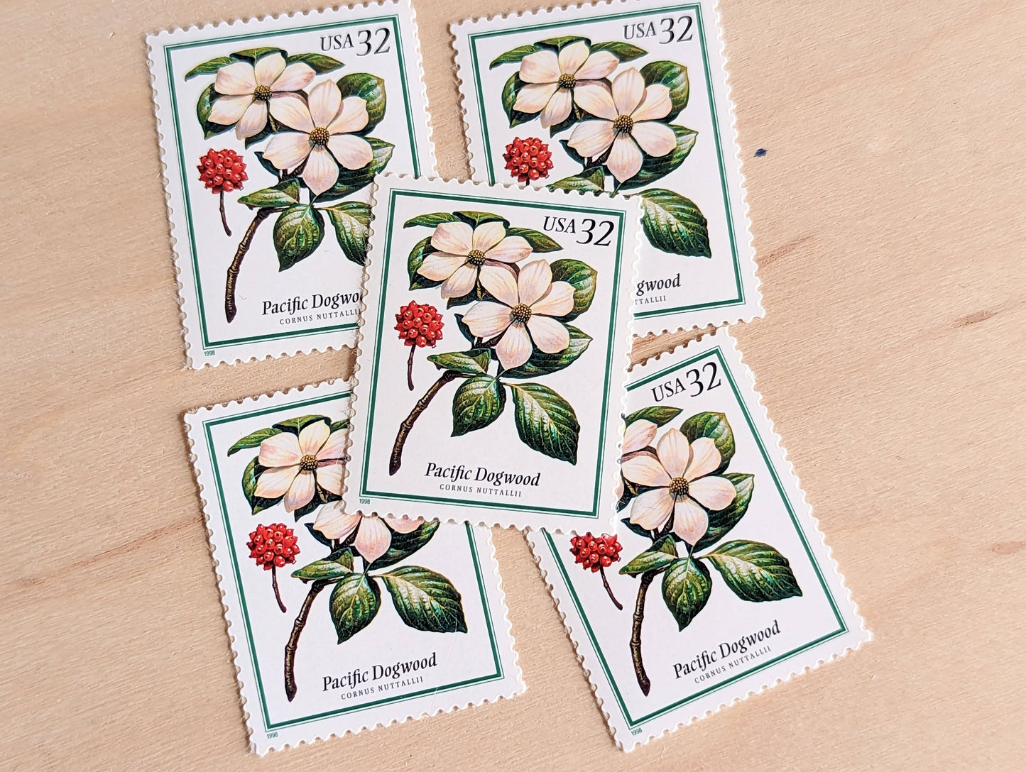 Pacific Dogwood Stamps, Set of 5, Vintage Unused USPS 32 Cent Postage Stamps, Flowering Tree Stamps 1998, Gummed