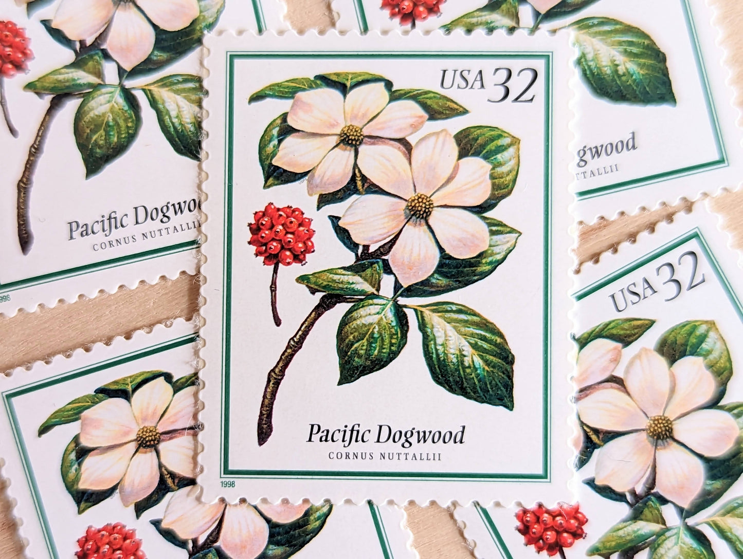 Pacific Dogwood Stamps, Set of 5, Vintage Unused USPS 32 Cent Postage Stamps, Flowering Tree Stamps 1998, Gummed