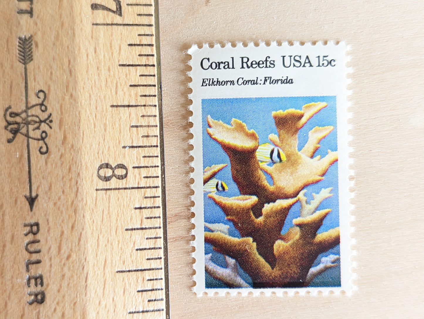 Coral Reefs Stamps, Vintage Unused USPS 15 Cent Postage Stamps, Finger Coral, Brain Coral, Chalice Coral, Elkhorn Coral 1980, Gummed