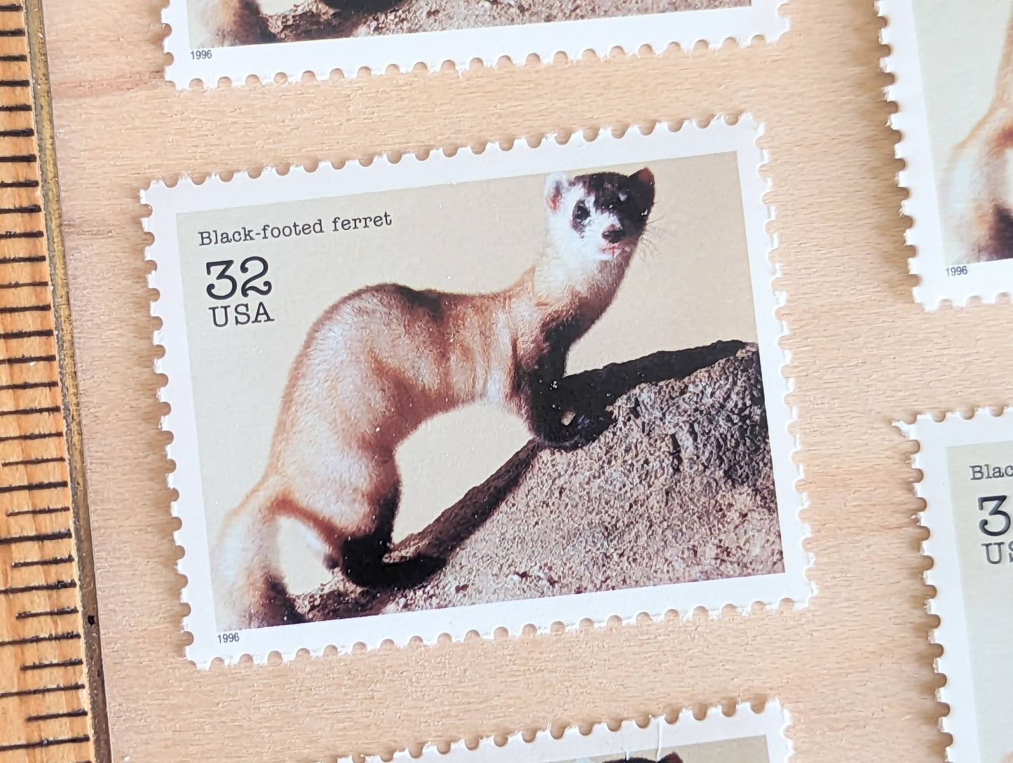 Black Footed Ferret Stamps, Set of 5, Vintage Unused USPS 32 Cent Postage Stamps, Endangered Species 1995, Gummed