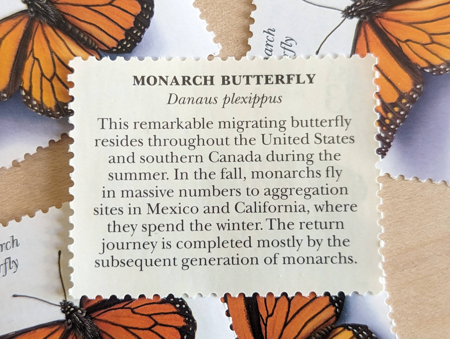 Monarch Butterfly Stamps, Set of 5, Vintage Unused USPS 33 Cent Postage Stamps, Insects and Spiders Series 1999, Gummed