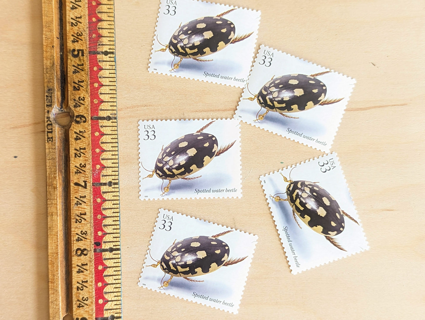 Spotted Water Beetle Stamps, Set of 5, Vintage Unused USPS 33 Cent Postage Stamps, Insects and Spiders Series 1999, Gummed