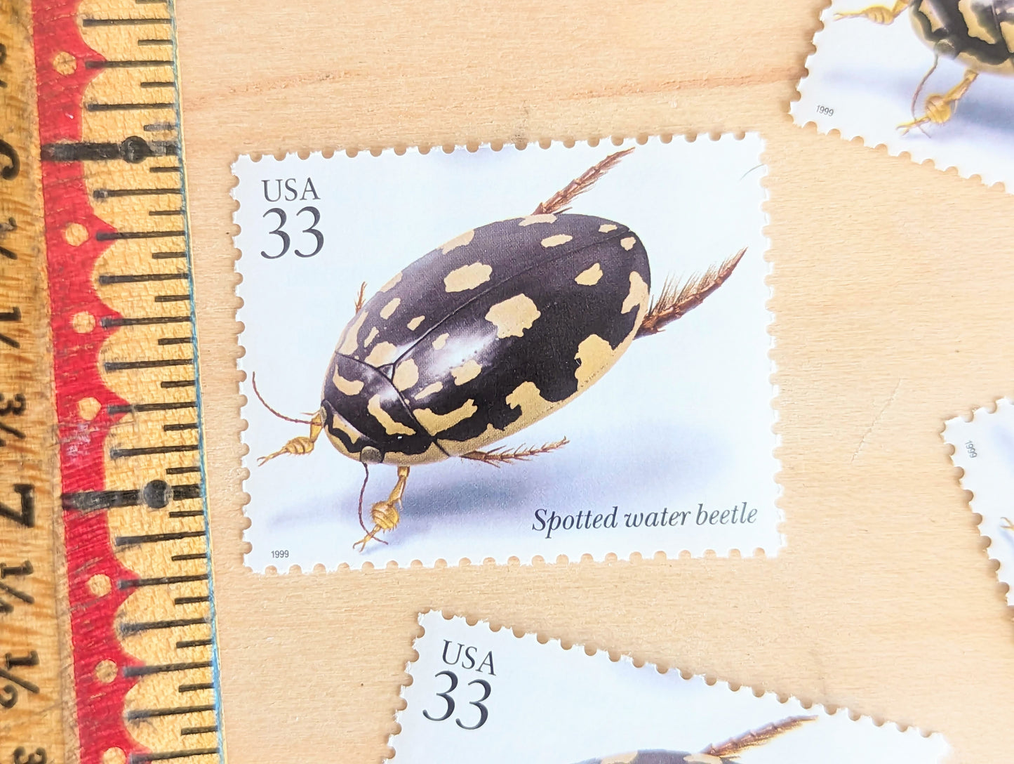Spotted Water Beetle Stamps, Set of 5, Vintage Unused USPS 33 Cent Postage Stamps, Insects and Spiders Series 1999, Gummed
