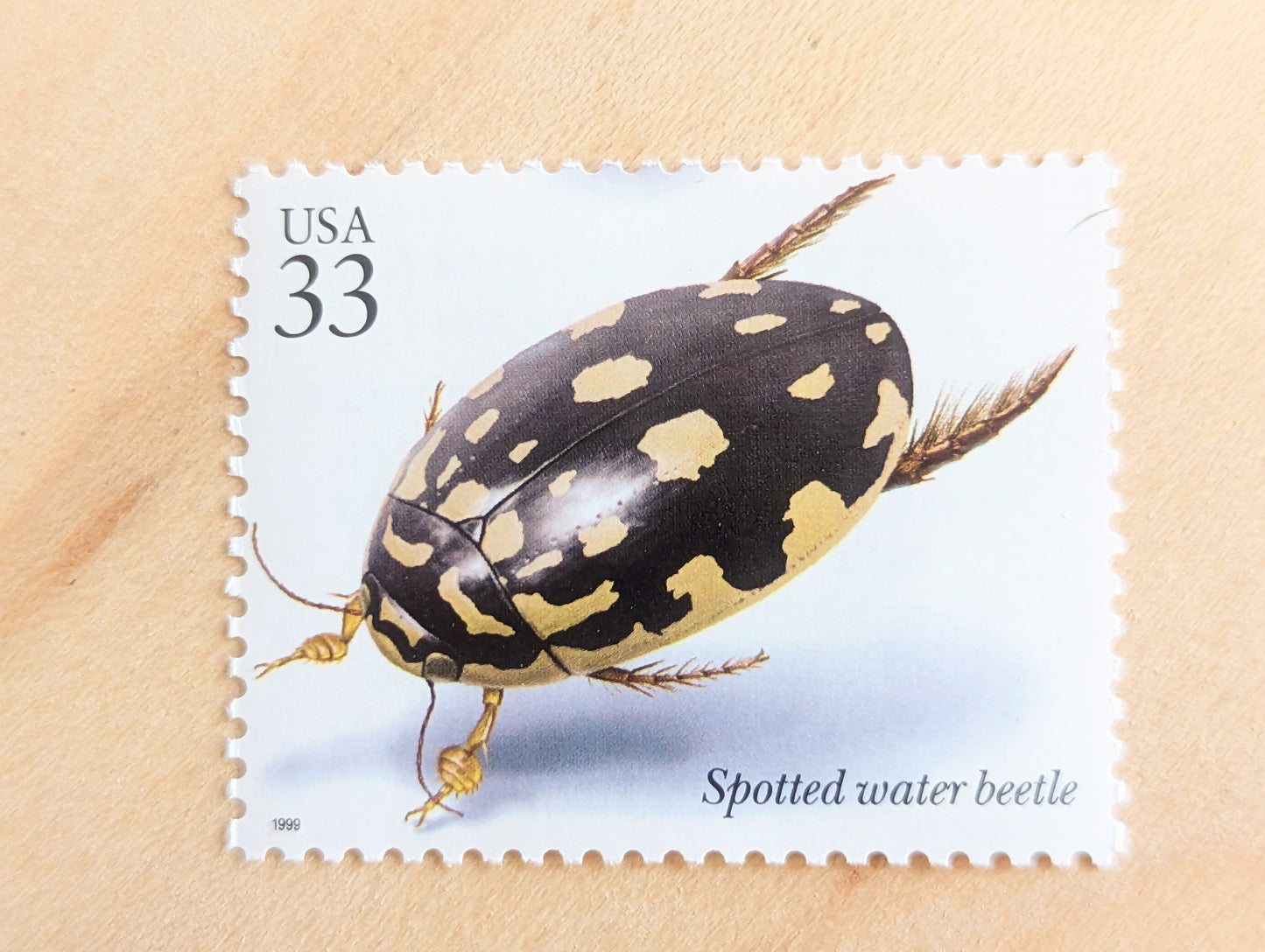 Spotted Water Beetle Stamps, Set of 5, Vintage Unused USPS 33 Cent Postage Stamps, Insects and Spiders Series 1999, Gummed