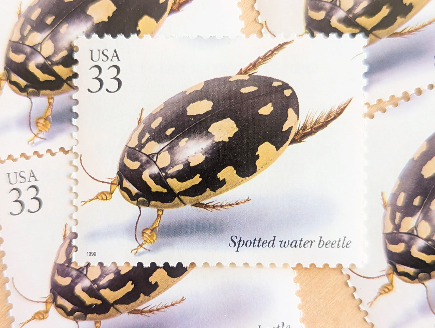 Spotted Water Beetle Stamps, Set of 5, Vintage Unused USPS 33 Cent Postage Stamps, Insects and Spiders Series 1999, Gummed