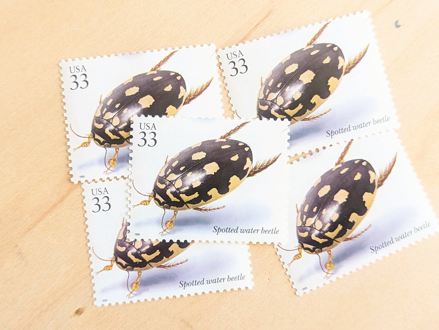 Spotted Water Beetle Stamps, Set of 5, Vintage Unused USPS 33 Cent Postage Stamps, Insects and Spiders Series 1999, Gummed