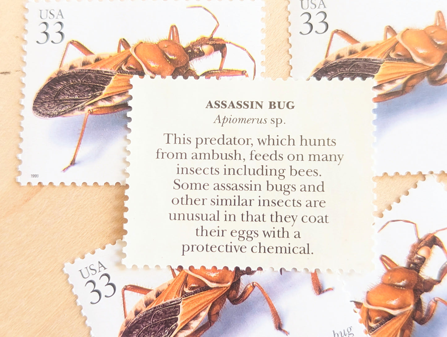 Assassin Bug Stamps, Set of 5, Vintage Unused USPS 33 Cent Postage Stamps, Insects and Spiders Series 1999, Gummed