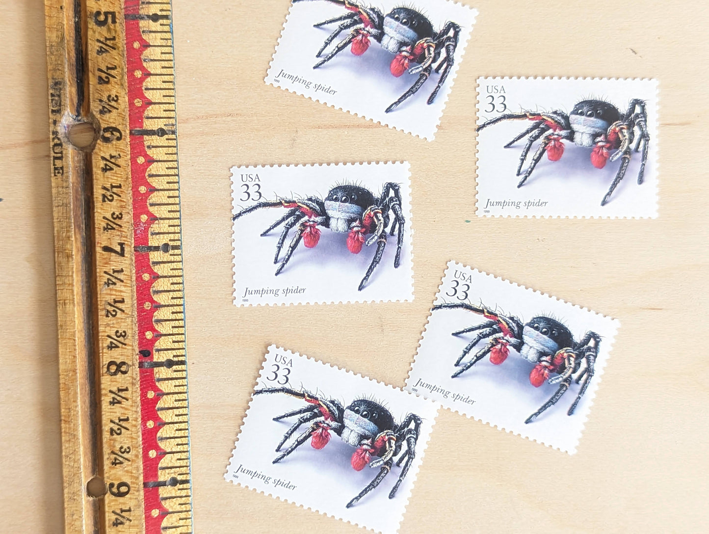 Jumping Spider Stamps, Set of 5, Vintage Unused USPS 33 Cent Postage Stamps, Insects and Spiders Series 1999, Gummed